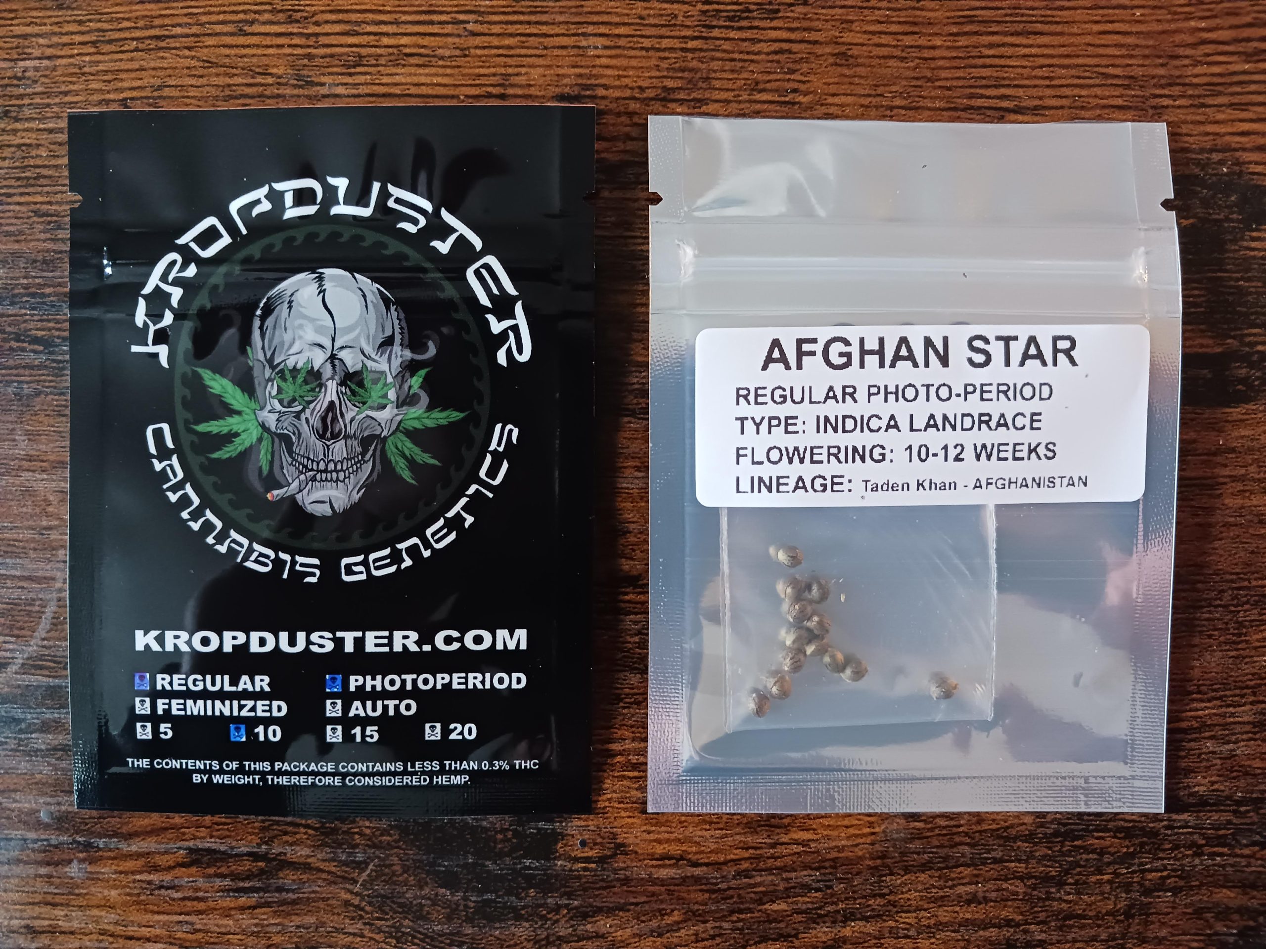 AFGHAN STAR