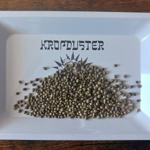 SHIT MIX - 50 SEEDS
